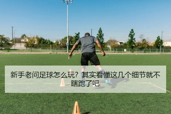 xin-shou-lao-wen-zu-qiu-zen-me-wan-qi-shi-kan-dong-zhe-ji-ge-xi-jie-jiu-bu-xia-pao-le-ba-1-524.jpg | leyu