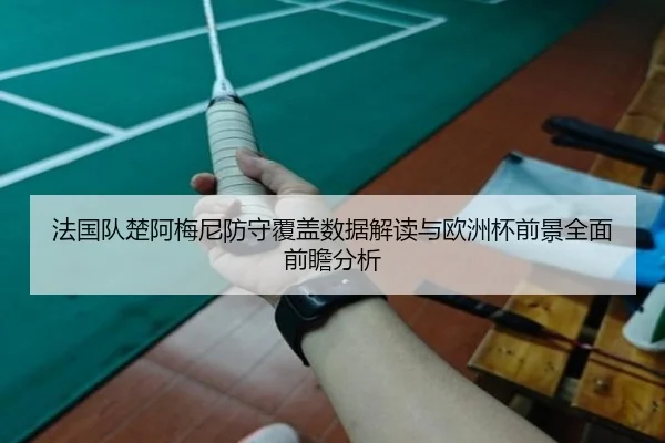 法国队楚阿梅尼防守覆盖数据解读与欧洲杯前景全面前瞻分析 - leyu
